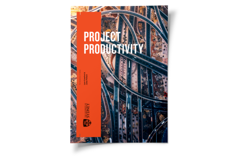 Project Productivity report